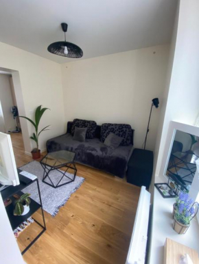 Appartement confortable Stade de France